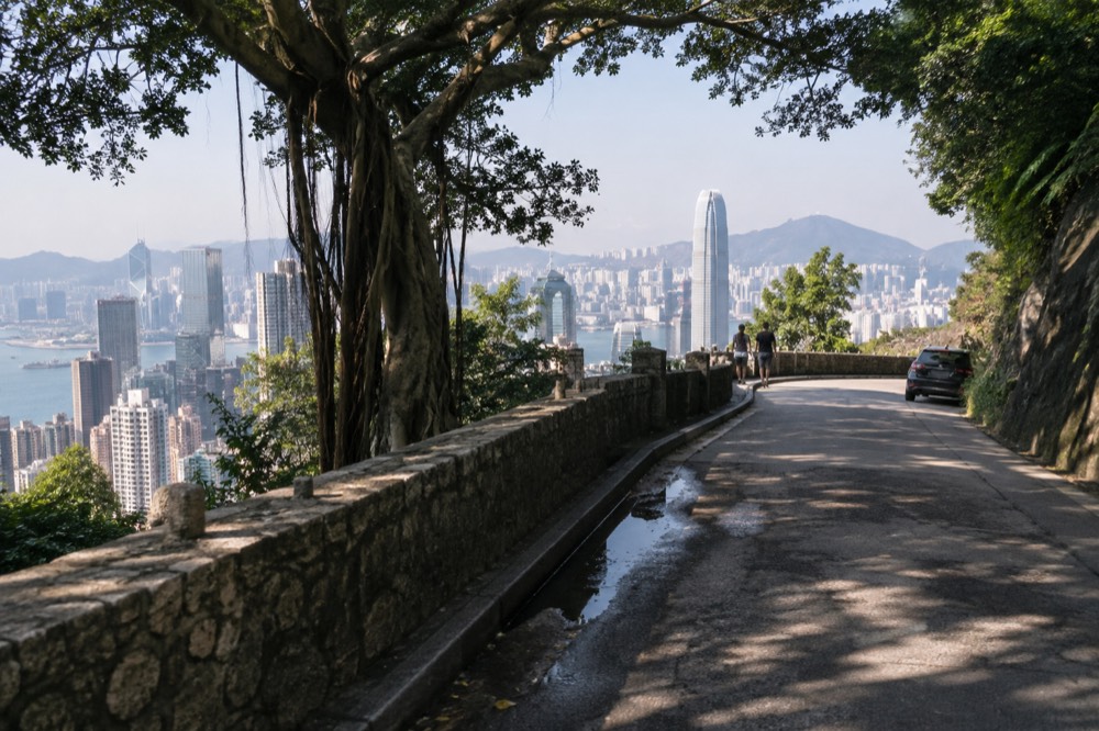 Tree-lined road along a hillside with skyscrapers and harbour in the distance