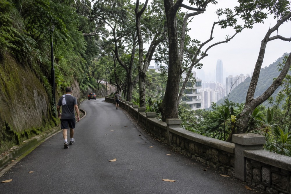 A paved walking road curving through green woodland on the slopes below Victoria Peak
