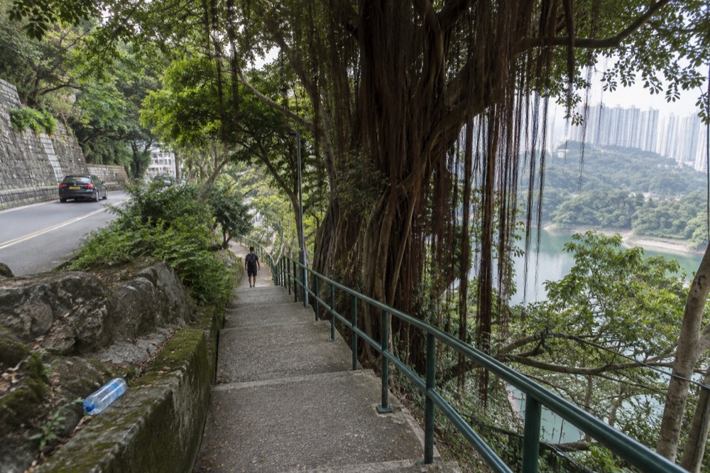 A country park trail descending past a reservoir toward the city below