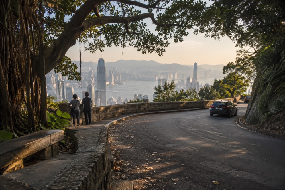 Leafy circular road along a hillside ridge overlooking the harbour