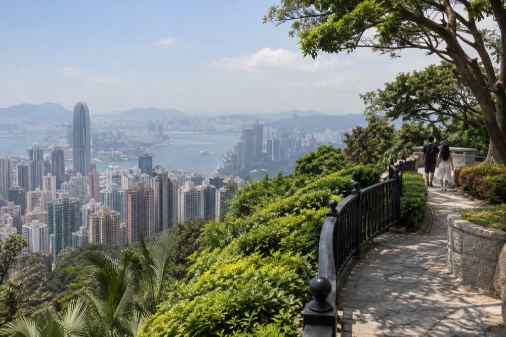 A green hilltop path above dense apartment towers reaching down to a wide harbour