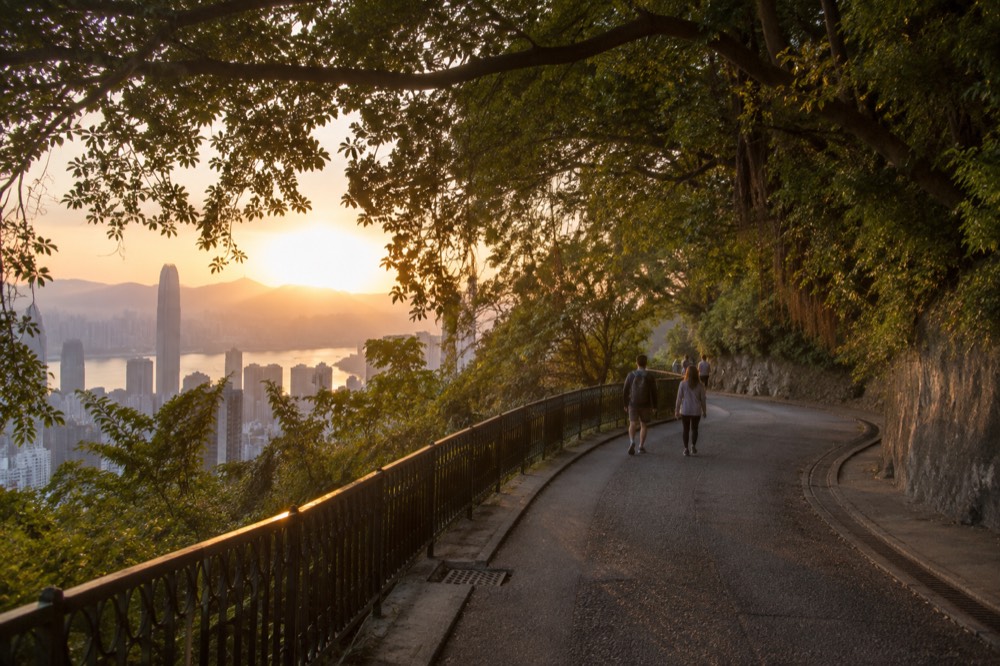 Narrow tree-covered walking road curving along the hillside with city glimpses through the trees