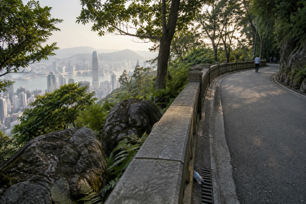 Tree-lined walking path along Lugard Road with the harbour far below