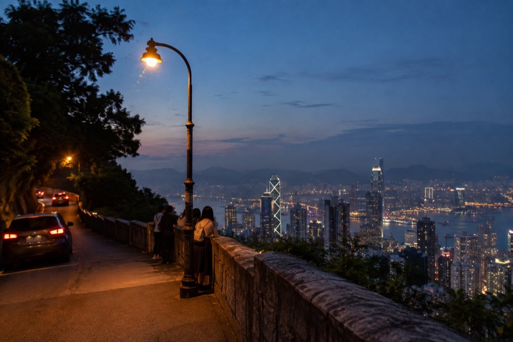 A hillside road at dusk with city lights beginning across the harbour