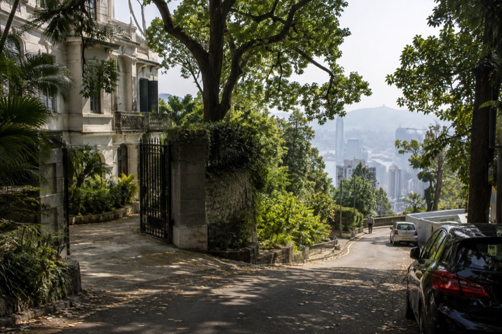 Narrow leafy road curving along a hillside with heritage houses and a harbour glimpse