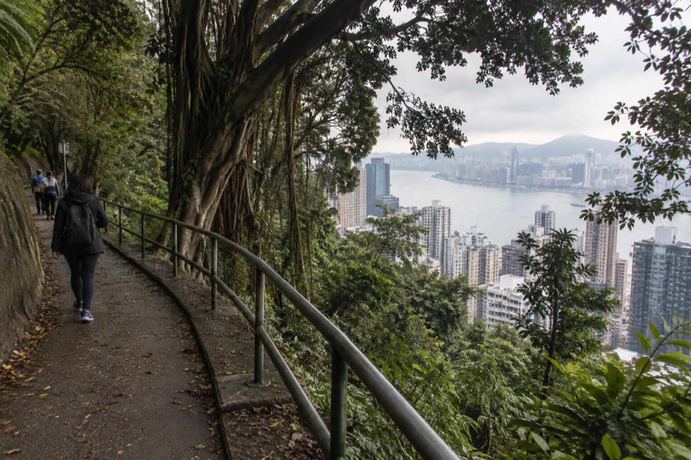 Walking path encircling a hilltop with harbour views through trees