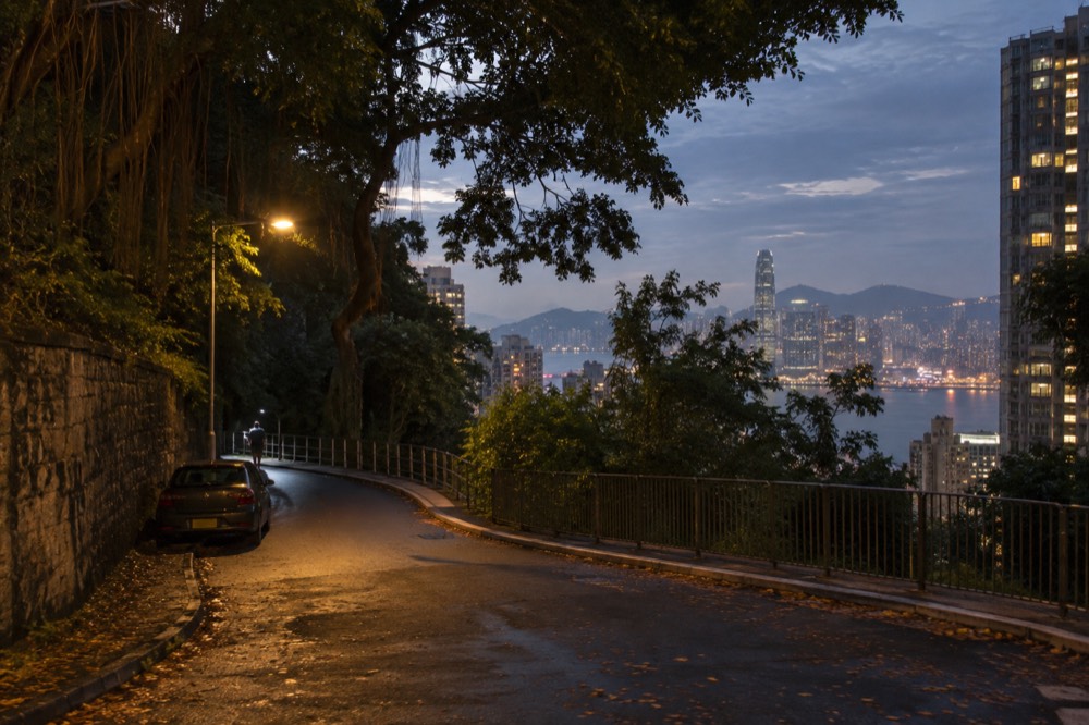 Evening view over the harbour from a tree-lined road above the city lights