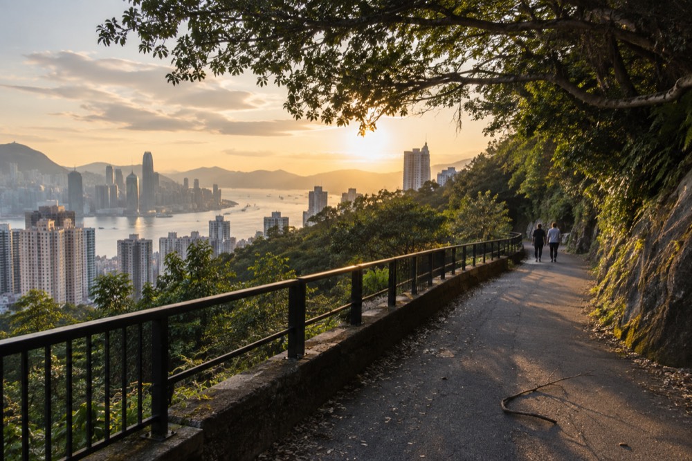 Visitors on the flat Lugard Road walking path above the treeline with harbour views