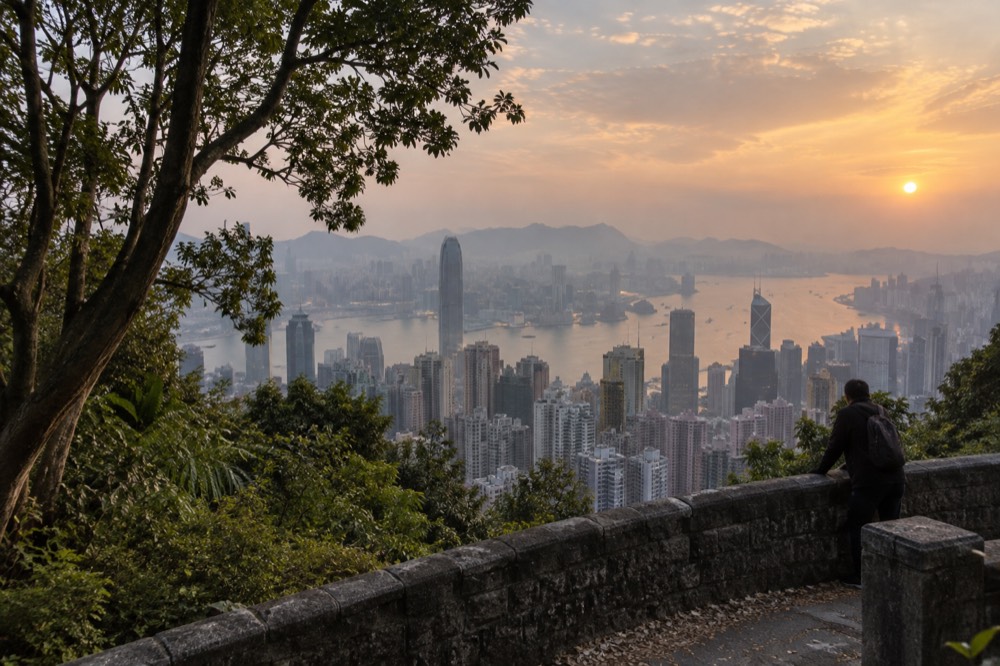 Hong Kong skyline and harbour seen from high on a green forested hillside