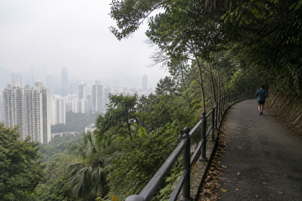 Wooded ridge path above Hong Kong apartment towers on a hazy morning