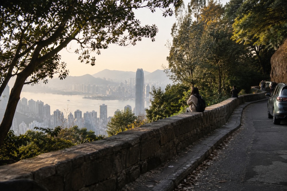 Flat leafy walking road with a low stone wall above the harbour