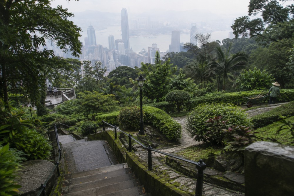 Stepped garden path with low hedges on a hillside above a city skyline