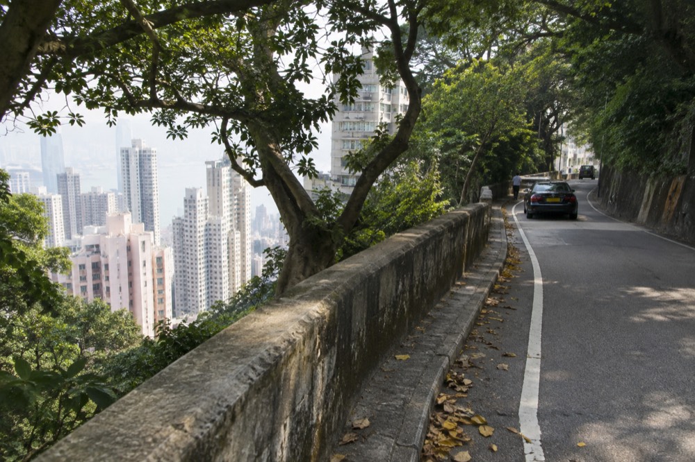 A tree-lined paved road curving uphill with apartment towers visible below through the foliage