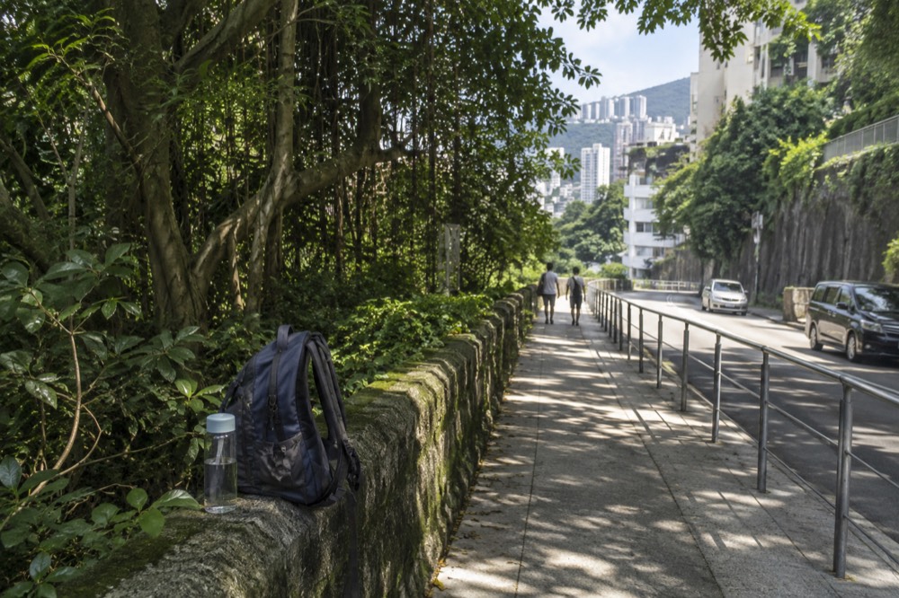 A shaded paved path with a walker's daypack resting on a low wall beside green foliage